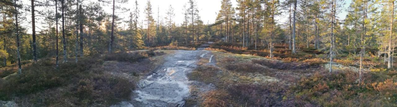 Hyttingsfabodstugor Borlänge Eksteriør bilde