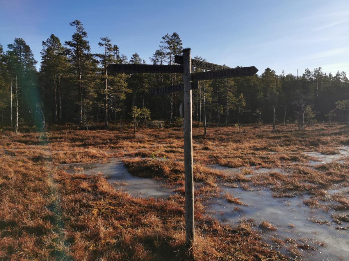 Hyttingsfabodstugor Borlänge Eksteriør bilde